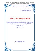 Một số kinh nghiệm xây dựng tiết dạy thực hành và tiết dạy có thí nghiệm hóa học thành ở trường THCS 