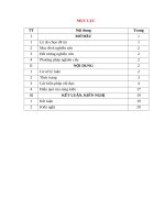 Một số giải pháp chỉ đạo nâng cao chất lượng học sinh tham gia hội thi các cấp đạt kết quả cao tại trường mầm non cẩm ngọc   cẩm thuỷ 