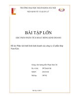 Bài tập môn lớn phân tích hoạt động kinh doanh phân tích tình hình kinh doanh của công ty cổ phần thép nam kim