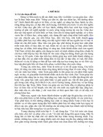 Bồi dưỡng toán 4 5 thông qua các bài toán vận dụng dấu hiệu chia hết và phép chia có dư 