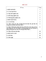 Vận dụng một số phương pháp kết hợp sử dụng bản đồ, lược đồ trong dạy học phần địa lý lớp 4 