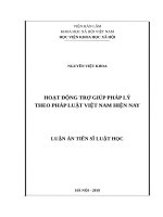 Hoạt động trợ giúp pháp lý theo pháp luật việt nam hiện nay 