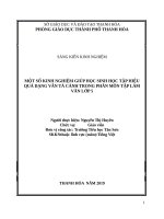 Một số kinh nghiệm giúp học sinh học tập hiệu quả dạng văn tả cảnh trong phân môn tập làm văn lớp 5  