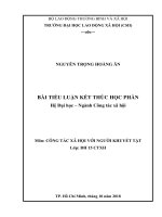 Tiểu luận công tác xã hội với người khuyết tật thực trạng và giải pháp nâng cao hiệu quả công tác chăm lo đời sống cho người khuyết tật tại tỉnh khánh hòa