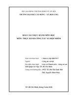 Báo cáo thực hành môn học thực hành công tác xã hội nhóm tổ chức các hoạt động nhóm, trò chơi tập thể để xây dựng một mô hình giải trí cho các em tại lưu xá thanh niên