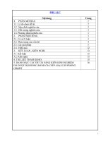 Một số biện pháp rèn kỹ năng làm văn miêu tả cho học sinh lớp 4, lớp 5 