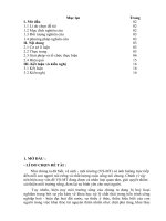 Một số biện pháp chỉ đạo các hoạt động giáo dục vệ sinh   môi trường trong trường tiểu học 