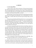 Một số biện pháp chỉ đạo hoạt động tổ chuyên môn nhằm nâng cao chất lượng dạy học ở trường tiểu học đông tân 