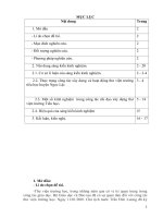 Một số kinh nghiệm trong công tác chỉ đạo xây dựng thư viện chuẩn trường tiểu học huyện ngọc lặc 