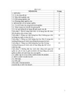 Một số biện pháp chỉ đạo nâng cao chất lượng giờ học địa lý ở trường trường tiểu học nga điền II 