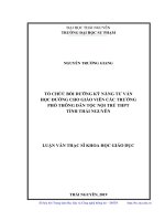 Tổ chức bồi dưỡng kỹ năng tư vấn học đường cho giáo viên các trường phổ thông dân tộc nội trú THPT tỉnh Thái Nguyên (Luận văn thạc sĩ)