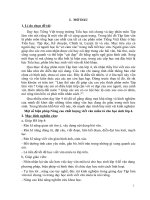 Một số biện pháp nâng cao chất lượng viết văn miêu tả cho học sinh lớp 