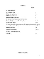 Một số biện pháp chỉ đạo giáo viên khối 1  nâng cao chất lượng môn tiếng việt cho những học sinh tiếp thu cham 