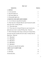 Một số biện pháp chỉ đạo nâng cao hiệu quả sử dụng đồ dùng trực quan trong dạy học phân môn lịch sử lớp 5 ở trường tiểu học đông xuân, đông sơ 