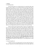 Một số giải pháp nhằm nâng cao hiệu quả hoạt động thư viện ở trường tiểu học phùng giáo  