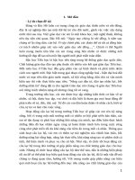 Một số kinh nghiệm tổ chức hiệu quả hoạt động các cau lạc bộ ở trường tiểu học hải nhân 