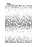 Một số giải pháp chỉ đạo công tác xã hội hóa giáo dục ở trường tiểu học đông cương, thành phố thanh hóa 