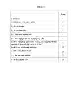 Phương pháp tổ chức dạy một số dạng bài tập luyện từ và câu cho học sinh lớp 