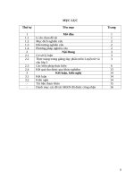 Một số biện pháp giúp học sinh lớp ba học tốt phân môn luyện từ và câu 