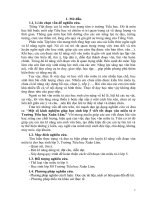 Một số kinh nghiệm giúp học sinh lớp 5 viết tốt đoạn văn miêu tả ở trường tiểu học xuân lâm 