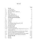 Một số cách thức tổ chức hoạt động ngoại khóa, tham quan, dã ngoại giúp học sinh học tốt môn lịch sử  