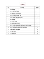 Một số kinh nghiệm trong tổ chức tổ chức dạy học nhóm trong môn địa lí 6 