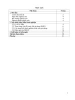 Tổ chức hoạt động nhóm và các trò chơi trong tiết 31  lịch sử 7  để nâng cao hiệu quả học tập của học sinh 