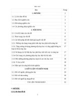 Một vài kinh nghiệm dạy, học ở trường THCS theo định hướng phát triển năng lực trong phân môn thường thức mỹ thuật  