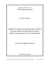 Nghiên cứu chế tạo nano bạc dạng cành lá sử dụng chùm sáng kết hợp ứng dụng trong tán xạ ra man tăng cường bề mặt (Luận văn thạc sĩ)