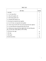 Dạy học theo chủ đề tích hợp thông qua ngôn ngữ tạo hình của phân môn vẽ tranh, đối tượng học sinh THCS 