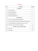 Một số kinh nghiệm dạy học tích hợp trong bài tác động của nội lực và ngoại lực trong việc hình thành bề mặt trái đất   địa lí 6 