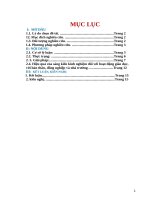 Hướng dẫn học sinh kĩ năng vẽ theo mẫu môn mĩ thuật ở trường THCS điền trung  