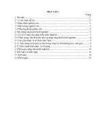 Một số kinh nghiệm ôn luyện đội tuyển học sinh giỏi môn địa lí 9, trường THCS hoằng hợp 