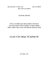 Luận văn thạc sỹ - Nâng cao hiệu quả hoạt động tín dụng tại Ngân hàng nông nghệp và phát triển nông thôn Việt Nam - Chi nhánh tỉnh Hà Tĩnh