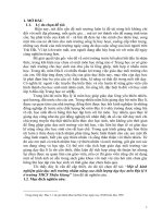 Một số kinh nghiệm giáo dục môi trường nhằm nâng cao chất lượng dạy, học môn địa lý 6 ở trường THCS thiệu giang 