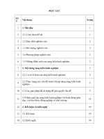 Kinh nghiệm vaanj dụng kiến thức liên môn giáo dục ý thức bảo vệ chủ quyền dân tộc cho học sinh lớp 8 trường THCS hà lan 