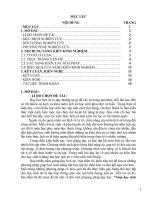 Giúp học sinh lớp 6 học tốt bộ môn lịch sử ở trường THCS thông qua việc tạo biểu tượng lịch sử trong dạy họ 