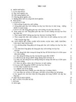 Lồng ghép nội dung giáo dục môi trường vào dạy học hóa học ở trường THCS nga mỹ 