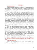 Vận dụng kiến thức liên môn trong dạy học địa lí lớp 6 ở trường THCS hà tân 