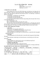 Giáo án chủ đề câu lệnh lặp tin học 8