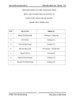 lập và pt dự án đtư MS