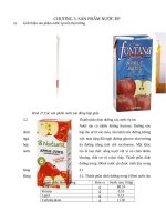 TÍNH TOÁN CÂN BẰNG VẬT CHẤT  THIẾT BỊ CÔNG NGHỆ SẢN XUẤT NƯỚC ÉP TÁO