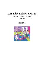 Bài tập Tiếng Anh 11 thí điểm   HK1