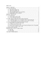 Thiết kế và tổ chức trò chơi ô chữ trong hoạt động dạy học môn công nghệ 10 