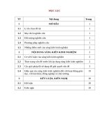 Khai thác một số bài toán dãy số viết theo quy luật 