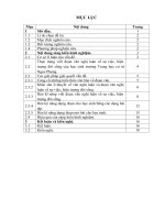 Rèn kỹ năng viết đoạn văn nghị luận về sự việc, hiện tượng đời sống cho học sinh lớp 9 ở trường THCS ngọc phụng, thường xuân 