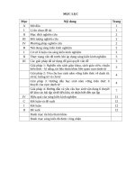 Kinh nghiệm hướng dẫn học sinh phát hiện nhanh, chính xác tạo lập và sử dụng thành thạo cụm danh từ 