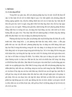 Một số ví dụ về sử dụng sở đồ dạy học trong chương trình địa lý 12 