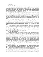 Một số biện pháp giáo dục học sinh cá biệt là người dân tộc thiểu số ở trường THPT miền núi  