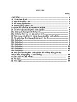 Giải pháp tạo hứng thú học tập nhằm nâng cao chất lượng bộ môn tin học 11 tại trường THPT thọ xuân 5, huyện thọ xuân 